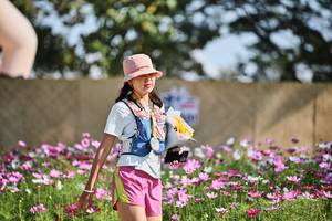 BIB: 
                            <button type="button" onclick="openModal(27805306)" class="btn btn-primary btn-sm float-right btn-popup" data-toggle="modal" data-target=".modal-high-quality">
                        <i class="fas fa-shopping-cart"></i> Add to Cart
                    </button>
                                            <button type="button" onclick="isThisMe(27805306, true)" class="btn btn-success btn-sm float-right btn-popup btn-isme hidden" data-toggle="tooltip" data-placement="bottom" title="นี่คือรูปของคุณใช่ไหม คลิกที่นี่เพื่อเอาเข้าอัลบั้ม">
                        <i class="fas fa-plus"></i> Add to album
                    </button>
                    <button type="button" onclick="isThisMe(27805306, false)" class="btn btn-warning btn-sm float-right btn-popup btn-isnotme hidden">
                        <i class="fas fa-ban"></i> Remove from album
                    </button>